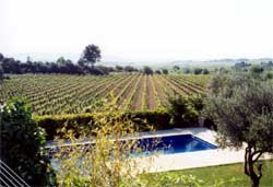 House at Cesseras
